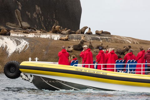 Wilsons Promontory Wilderness Cruise From Tidal River - Restaurant Guide 1