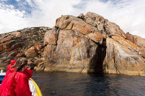 Wilsons Promontory Wilderness Cruise From Tidal River - Restaurant Guide 3