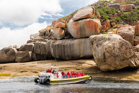 Wilsons Promontory Wilderness Cruise From Tidal River - Restaurant Guide 4