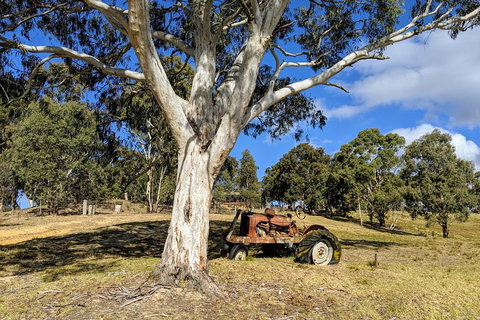 Blue Mountains Private Tour - Wild Kangaroos, Waterfalls And The Three Sisters - Restaurant Guide 1