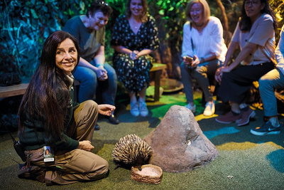 Sydney Taronga Zoo's Australian Animals Tour