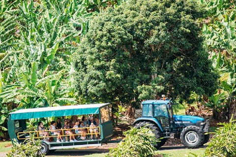 Tropical Fruit World With Wildlife Boat Cruise From Gold Coast - Restaurant Guide 1