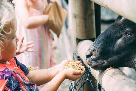 Tropical Fruit World With Wildlife Boat Cruise From Gold Coast - Restaurant Guide 5
