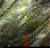 O'Reilly's  Lamington National Park from Gold Coast - Restaurant Guide