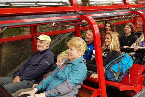 Blue Mountains Ultimate One-Day Tour - Restaurant Guide 0