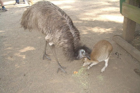 Blue Mountains PRIVATE Day Tour - Restaurant Guide 4