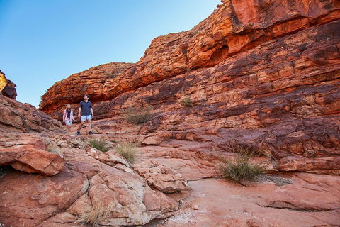 Kings Canyon Guided Rim Walk - Restaurant Guide 0