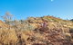 Kings Canyon Guided Rim Walk - thumb 1