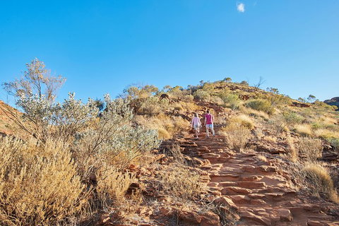 Kings Canyon Guided Rim Walk - Restaurant Guide 1