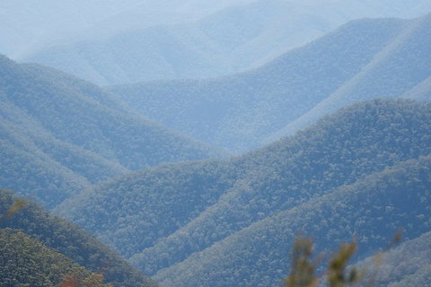 From The Mountains To The Bay - 4 Day Rediscovery Private Tour - Restaurant Guide 1