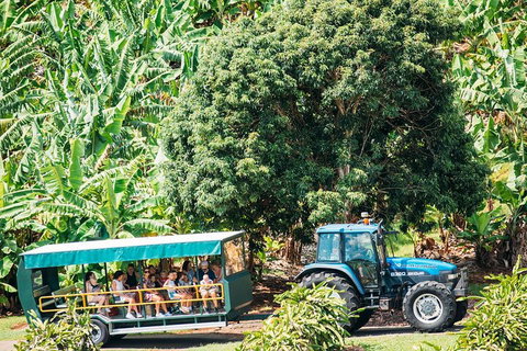Northern Rivers Full Day Wine Tour - Restaurant Guide 1