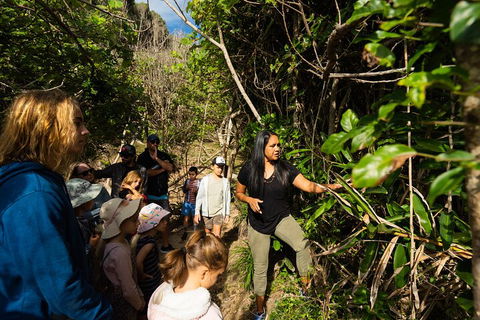 Cape Byron Aboriginal Tour - Restaurant Guide 4