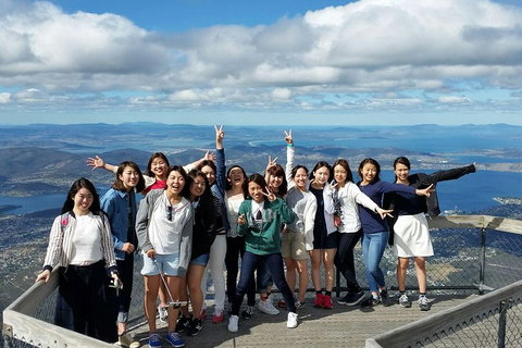 Mt Field National Park Active Day-Trip Including Bonorong And Mt Wellington - Restaurant Guide 2