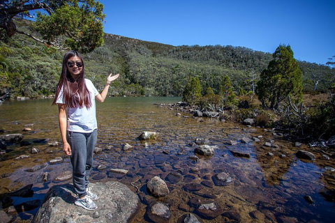 Mt Field National Park Active Day-Trip Including Bonorong And Mt Wellington - Restaurant Guide 4
