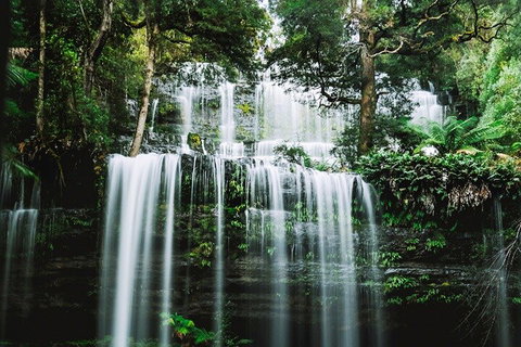 Mt Field National Park And Russell Falls From Hobart - Restaurant Guide 0