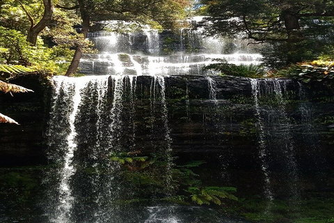 Mt Field National Park And Russell Falls From Hobart - Restaurant Guide 2