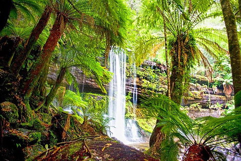 Mt Field National Park And Russell Falls From Hobart - Restaurant Guide 4