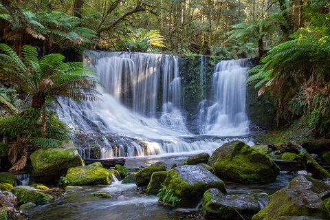 Mt Field National Park And Russell Falls From Hobart - Restaurant Guide 5