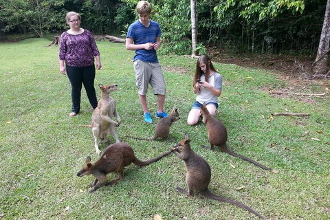 Small Group Blue Mountains Day Tour From Sydney - Restaurant Guide 2