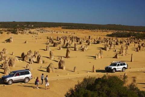 1-Day Pinnacles And Yanchep Tour From Perth Including Fish And Chips Lunch - Restaurant Guide 0