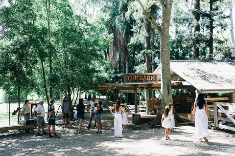 Tropical Fruit World Farm Full Tour - Restaurant Guide 3