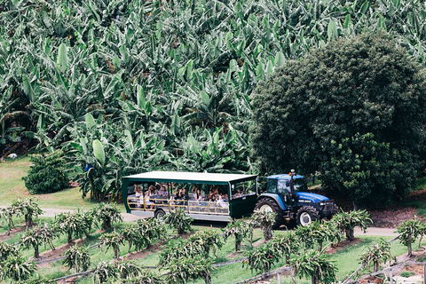 Tropical Fruit World Farm Full Tour - Restaurant Guide 5