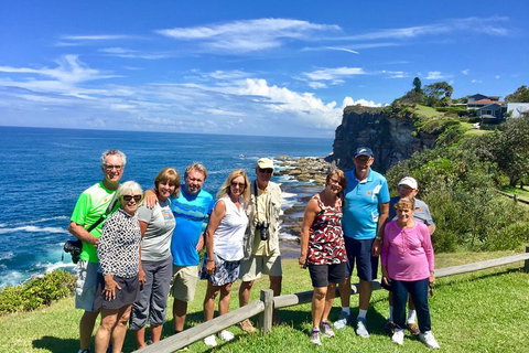 Shore Excursion: Sydney's Northern Beaches & Ku-ring-gai National Park Bus Tour - Restaurant Guide 0