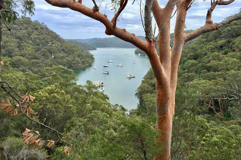 Shore Excursion: Sydney's Northern Beaches & Ku-ring-gai National Park Bus Tour - Restaurant Guide 1
