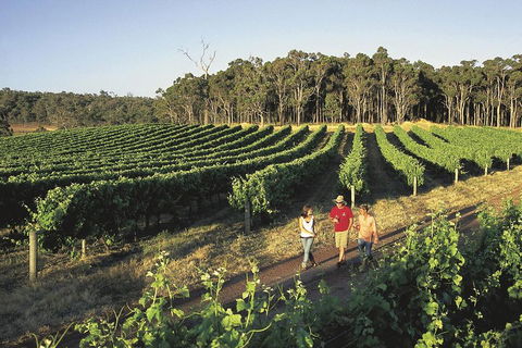 Margaret River, Caves, Wine And Cape Leeuwin Lighthouse Tour From Perth - Restaurant Guide 1