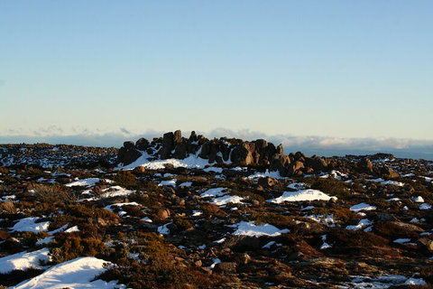 Mt. Wellington, Bonorong And Richmond Day Tour From Hobart - Restaurant Guide 5