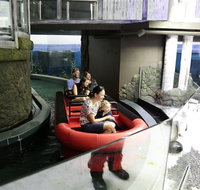Sydney Attractions Pass SEA LIFE Aquarium Sydney Tower Eye WILD LIFE Zoo and Madame Tussauds - Restaurant Guide
