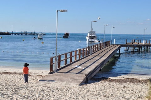 Monkey Mia Dolphins & Shark Bay Air Tour From Perth - Restaurant Guide 0