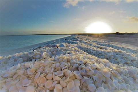 Monkey Mia Dolphins & Shark Bay Air Tour From Perth - Restaurant Guide 3