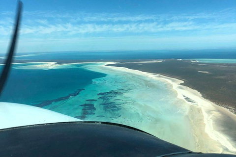 Monkey Mia Dolphins & Shark Bay Air Tour From Perth - Restaurant Guide 4