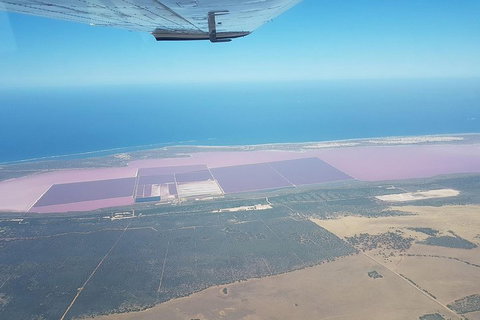 Monkey Mia Dolphins & Shark Bay Air Tour From Perth - Restaurant Guide 5