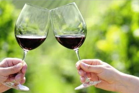 Yarra Valley Premium Tour Inc Lunch And Cheese And Wine Pairing At De Bortoli - Restaurant Guide 5