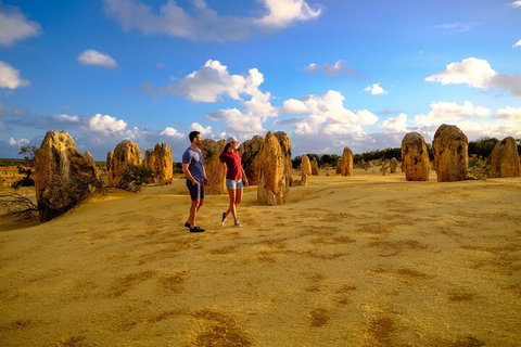 Full-Day Pinnacles Desert And Yanchep National Park Tour From Perth - Restaurant Guide 4