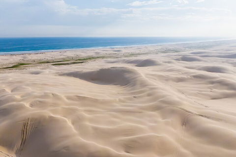 Port Stephens Bush, Beach And Sand Dune 4WD Passenger Tour - Restaurant Guide 2