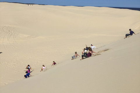 Port Stephens Bush, Beach And Sand Dune 4WD Passenger Tour - Restaurant Guide 4