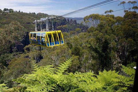 Go City | Sydney Explorer Pass With 20+ Attractions And Tours - Restaurant Guide 0
