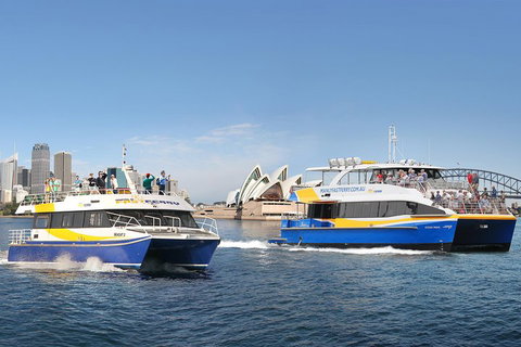 Go City | Sydney Explorer Pass With 20+ Attractions And Tours - Restaurant Guide 5