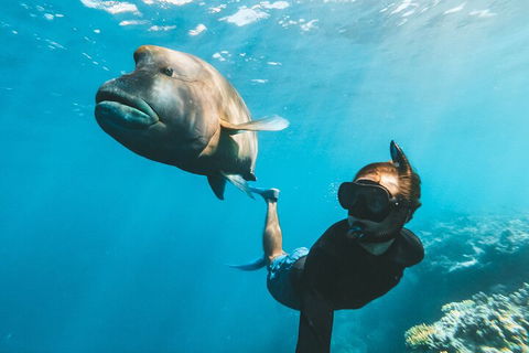 Great Barrier Reef Day Cruise To Reefworld - Restaurant Guide 3