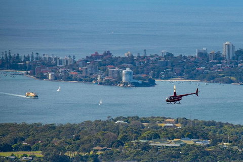 30-Minute Sydney Harbour And Olympic Park Helicopter Tour - Restaurant Guide 0
