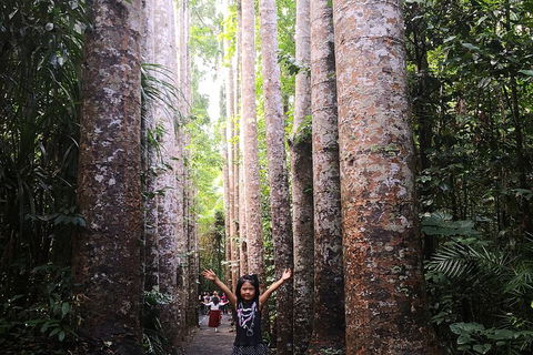 Private Tour To Paronella Park, Historic Village Herberton And Wild Life Wallaby - Restaurant Guide 2