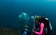 3-Hour Byron Bay Certified Scuba Diving Tour - thumb 2