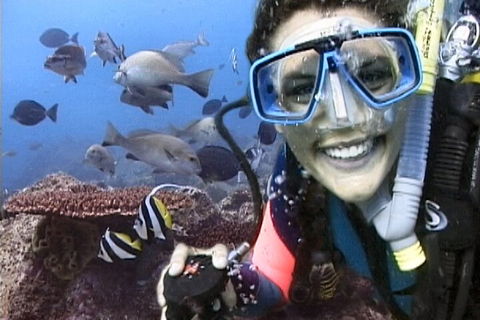 3-Hour Byron Bay Certified Scuba Diving Tour - Restaurant Guide 5