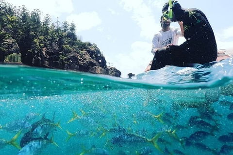 2 Night Small Group Whitsundays Sailing Adventure Aboard Mandrake - Restaurant Guide 5