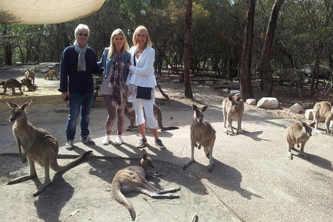 Private Scenic Day Trip From Sydney For Families And Friends - Restaurant Guide 1