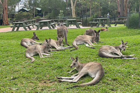 Private Scenic Day Trip From Sydney For Families And Friends - Restaurant Guide 4