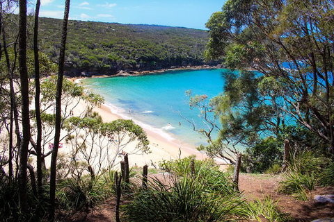 South Coast Private Charter - Restaurant Guide 1
